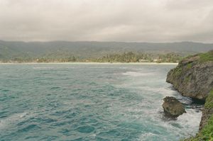 Turquoise bay viewed from a green-topped rocky point, gentle surf with white foam, a long pale sand beach backed by dense palm trees and misty green mountains under overcast sky