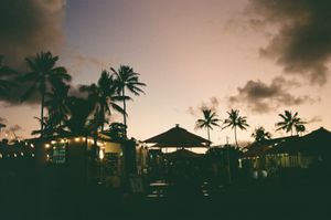 Silhouetted palm trees at dusk over a food truck lot strung with warm string lights, large umbrellas and picnic tables against a peach and violet sky with scattered clouds